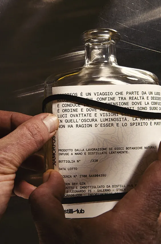 Xamorfos, sogno lucido — Distill Hub